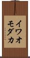 イワオモダカ Scroll