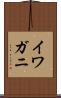 イワガニ Scroll