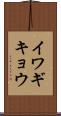 イワギキョウ Scroll