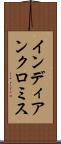インディアンクロミス Scroll
