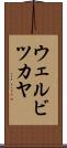 ウェルビツカヤ Scroll