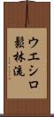 Ueshiro Shorin-Ryu / Ueshiro Matsubayashi-Ryu Scroll