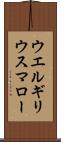 ウエルギリウスマロー Scroll