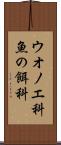 ウオノエ科 Scroll