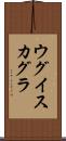 ウグイスカグラ Scroll