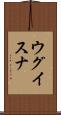 ウグイスナ Scroll