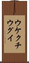 ウケクチウグイ Scroll