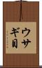 ウサギ目 Scroll