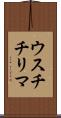 ウスチチリマ Scroll