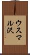 ウスマル沢 Scroll