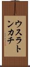 ウスラトンカチ Scroll