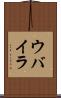 ウバイラ Scroll