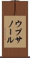ウプサノール Scroll