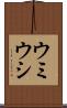 ウミウシ Scroll