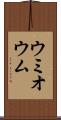 ウミオウム Scroll