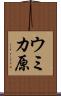 ウミカ原 Scroll