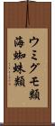 ウミグモ類 Scroll