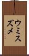 ウミスズメ Scroll