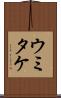ウミタケ Scroll