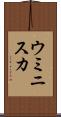 ウミニスカ Scroll