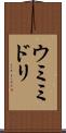 ウミミドリ Scroll