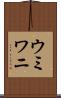 ウミワニ Scroll