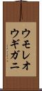 ウモレオウギガニ Scroll