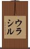 ウラシル Scroll
