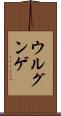 ウルグンゲ Scroll