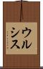 ウルシス Scroll