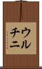 ウルチニ Scroll