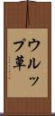 ウルップ草 Scroll