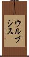 ウルブシス Scroll