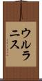 ウルラニス Scroll