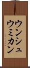 ウンシュウミカン Scroll