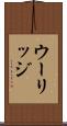 ウーリッジ Scroll