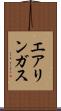 エアリンガス Scroll