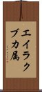 エイラクブカ属 Scroll