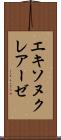 エキソヌクレアーゼ Scroll
