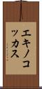 エキノコッカス Scroll