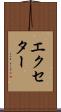 エクセター Scroll