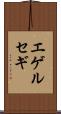 エゲルセギ Scroll