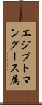 エジプトマングース属 Scroll