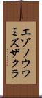 エゾノウワミズザクラ Scroll