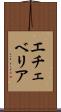 エチェベリア Scroll