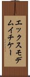 エックスモデムイチケー Scroll
