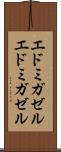 エドミガゼル Scroll