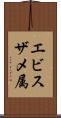 エビスザメ属 Scroll