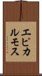 エピカルモス Scroll