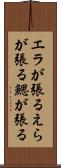 エラが張る Scroll